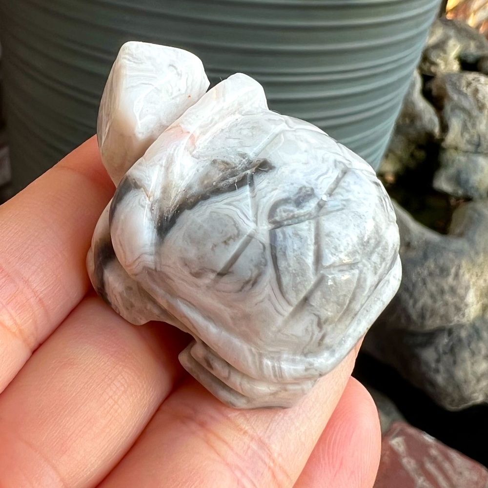 Mexican Lace Turtle Carving
